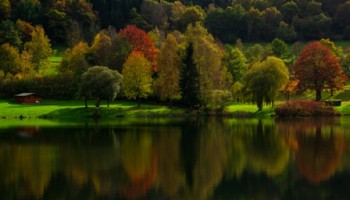 Reflejos_Otoales_Irene_Paris_Barrios_WEB