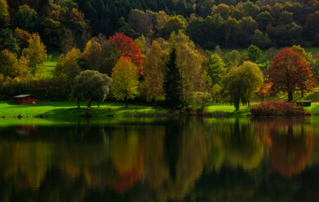 Reflejos_Otoales_Irene_Paris_Barrios_WEB