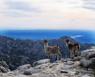 Concurso naturaleza