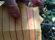 Geocaching 7